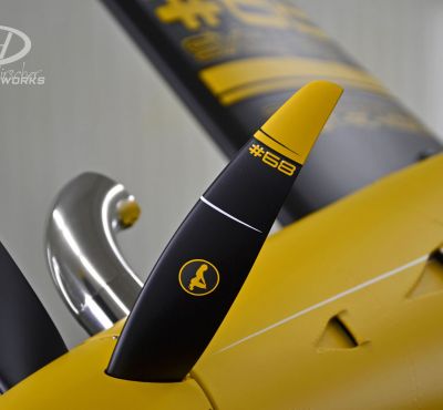 DH Colorworks - Daniel Hirscher