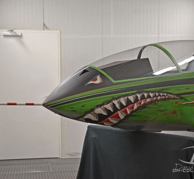 DH Colorworks - Daniel Hirscher