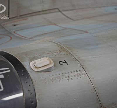 DH Colorworks - Daniel Hirscher