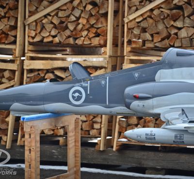 DH Colorworks - Daniel Hirscher