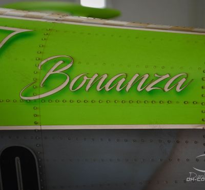 DH Colorworks-Daniel Hirscher