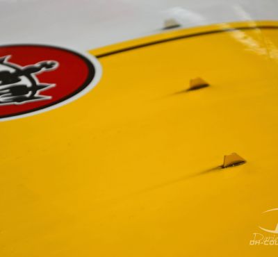 DH Colorworks - Daniel Hirscher