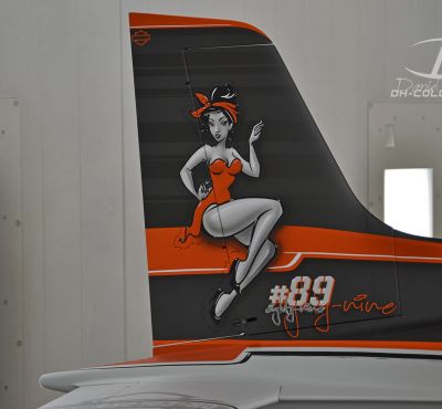 DH Colorworks - Daniel Hirscher