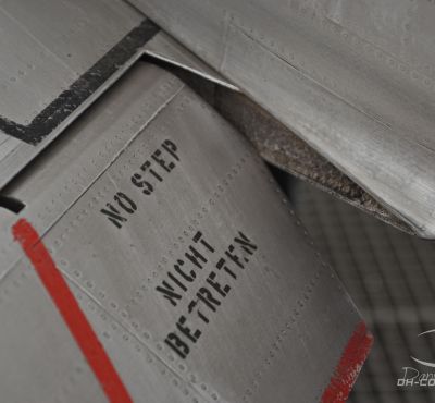 DH Colorworks - Daniel Hirscher