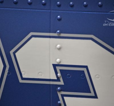 DH Colorworks - Daniel Hirscher