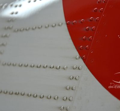 DH Colorworks - Daniel Hirscher