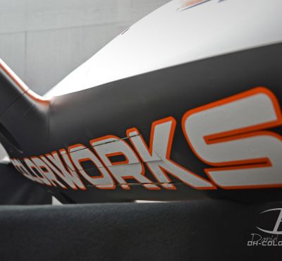 DH Colorworks - Daniel Hirscher