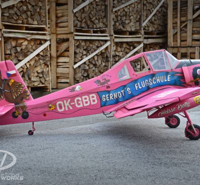 DH Colorworks - Daniel Hirscher