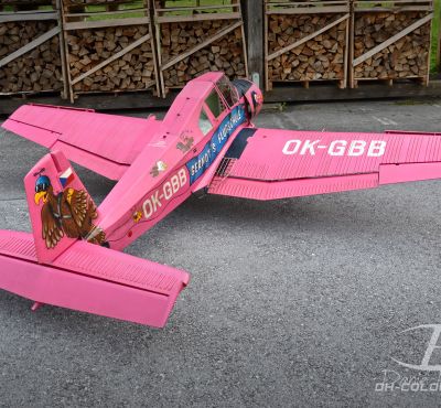 DH Colorworks - Daniel Hirscher