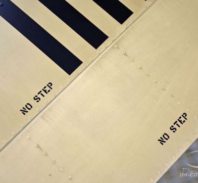 DH Colorworks - Daniel Hirscher