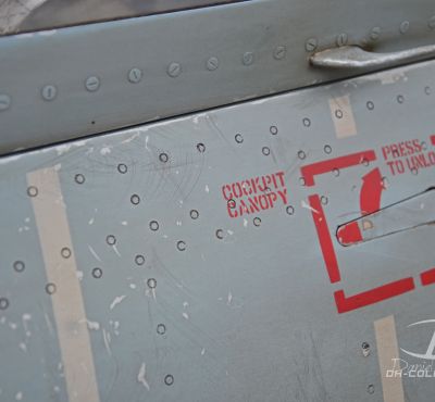 DH Colorworks - Daniel Hirscher