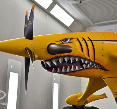 DH Colorworks - Daniel Hirscher