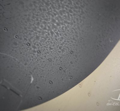 DH Colorworks-Daniel Hirscher