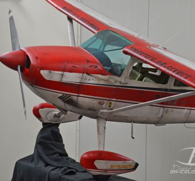 DH Colorworks - Daniel Hirscher