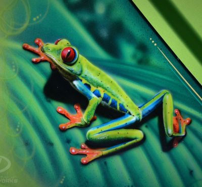 DH Colorworks - Daniel Hirscher