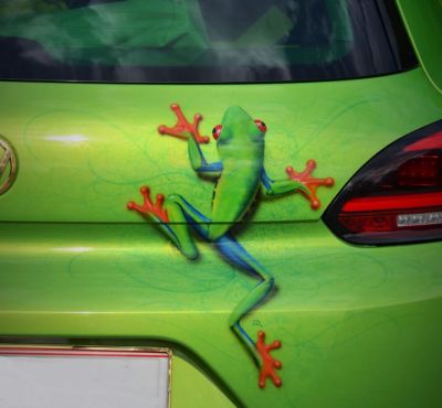 DH Colorworks - Daniel Hirscher