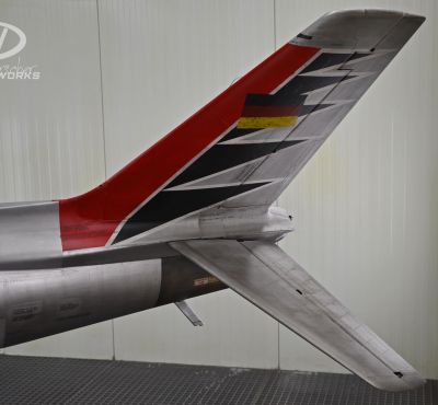 DH Colorworks - Daniel Hirscher