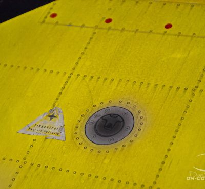 DH Colorworks - Daniel Hirscher