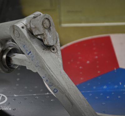 DH Colorworks - Daniel Hirscher