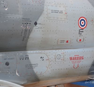 DH Colorworks - Daniel Hirscher