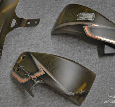 DH Colorworks - Daniel Hirscher