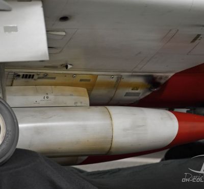 DH Colorworks-Daniel Hirscher