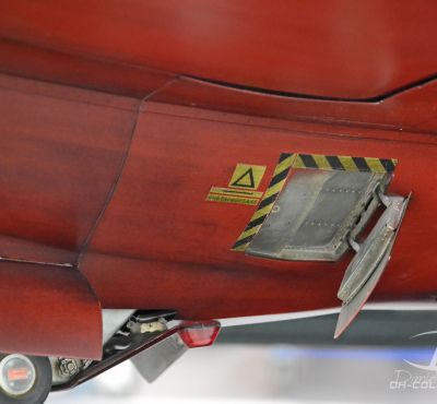 DH Colorworks-Daniel Hirscher