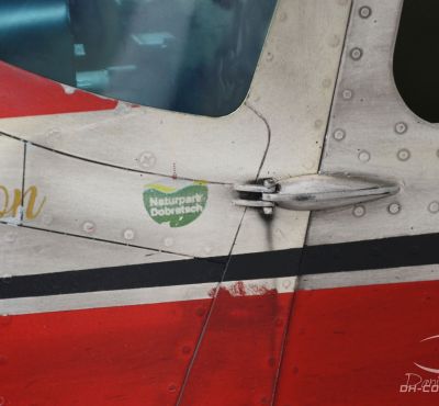 DH Colorworks - Daniel Hirscher