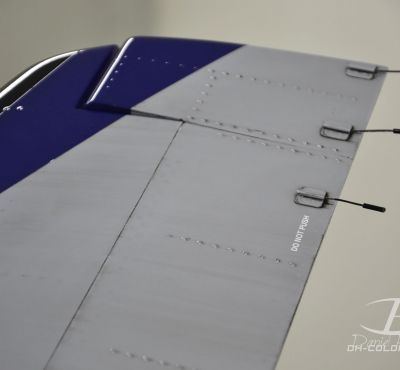 DH Colorworks - Daniel Hirscher