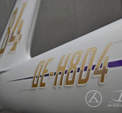 DH Colorworks - Daniel Hirscher & Daddy