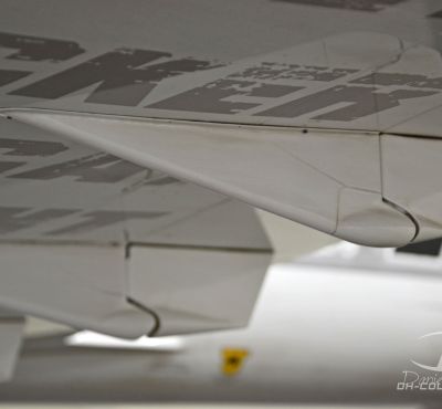 DH Colorworks - Daniel Hirscher