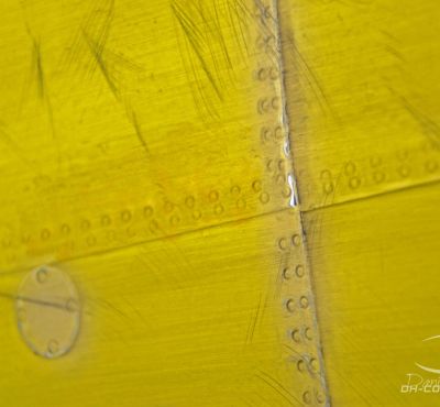 DH Colorworks - Daniel Hirscher