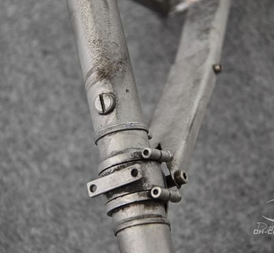 DH Colorworks - Daniel Hirscher