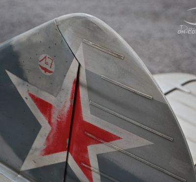 DH Colorworks - Daniel Hirscher