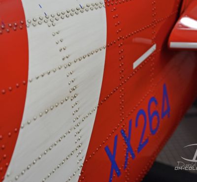 DH Colorworks - Daniel Hirscher