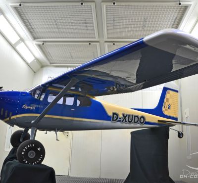 DH Colorworks - Daniel Hirscher