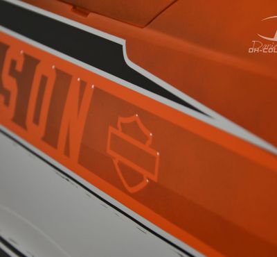 DH Colorworks - Daniel Hirscher