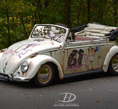 DH Colorworks - Daniel Hirscher