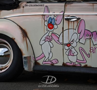 DH Colorworks - Daniel Hirscher