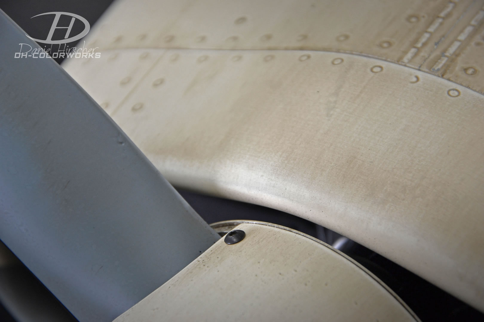 DH Colorworks-Daniel Hirscher